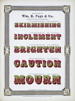 1874 Wood TypeAdvertisement